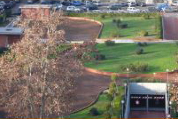 Viale Tiziano